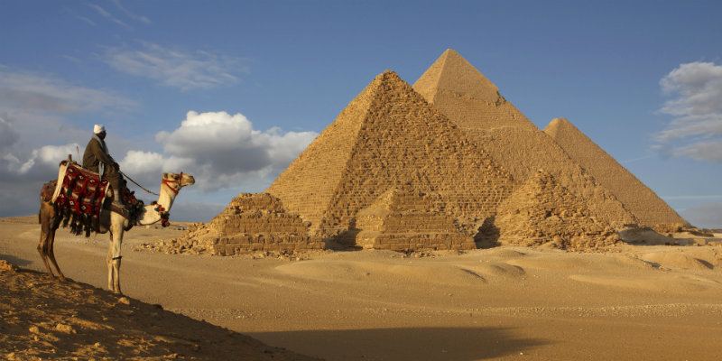 الدراسة في مصر